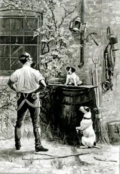 Das Überleben des Stärkeren